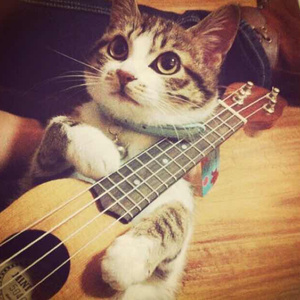 中国胖女人一级毛片aaaaa
